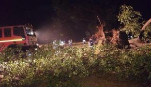 INCREDIBIL! Mai mulţi turişti s-au ÎNTORS în campingul din Bihor, unde o FURTUNĂ DEVASTATOARE a smuls copaci, a ucis un om si a rănit alți 12. Cum arată acum locul