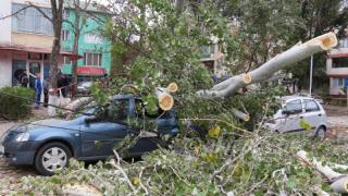 Pompierii au intervenit în zeci de localităţi pentru a îndepărta efectele furtunilor din ultimele 24 de ore