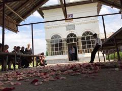 COPLEȘITOR. Ultimul drum al Denisei, acoperit cu petale de trandafiri (GALERIE FOTO)