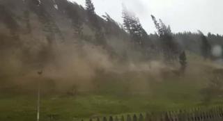 Zeci de mii de hectare de PĂDURE au fost DISTRUSE de o furtună nemaivăzută în România - FOTO/VIDEO