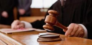 Motivare GALA BUTE: Banii proveniţi din infracţiuni de CORUPŢIE au ajuns în patrimoniul Elenei Udrea şi al PDL Bucureşti