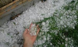 Plângere împotriva... naturii! Un prahovean supărat că grindina i-a DISTRUS o parte din culturi, a sesizat situaţia la Protecţia Consumatorului