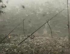 Imagini apocaliptice în Tulcea! O ploaie cu grindină cât oul a făcut ravagii în județ (VIDEO)