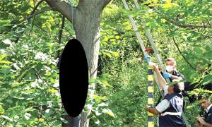 Șofer de ambulanţă, găsit SPÂNZURAT în PĂDURE. Nimeni nu știe ce s-a întâmplat, însă localnicii spun că era grav bolnav