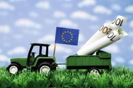 România a înregistrat cea mai scăzută rată de absorbţie a fondurilor europene. Cu 5% mai mică decât cea din multe alte state