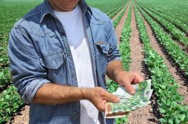 APIA controlează până la 1 octombrie peste 100.000 de fermieri care au depus cereri pentru subvenţii!