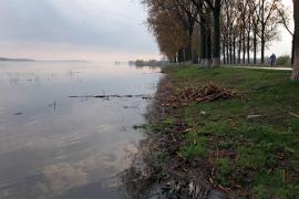 PERICOL MAXIM în următoarele ore! Cod galben de inundaţii în mai multe judeţe din ţară