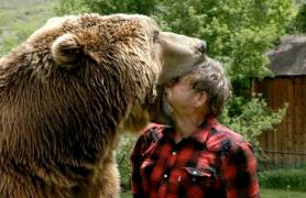 ULTIMA ORĂ! ATAC SÂNGEROS în Harghita. Doi bărbați la spital, unul în stare CRITICĂ, după ce au fost SFÂȘIAȚI de un URS