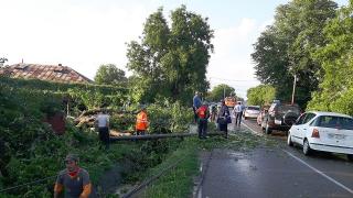 PRĂPĂD în Neamţ din cauza unei TORNADE. Pagubele sunt impresionante (GALERIE FOTO)