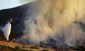 Alertă în Grecia! Zeci de pompieri se luptă cu un incendiu de vegetaţie izbucnit la sud de Atena