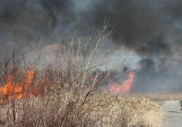 Pompierii au oprit TOTAL circulaţia între Frumuşani şi centura Capitalei, pe DN4, Bucureşti - Oltenţia