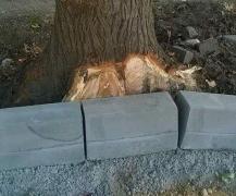 VIDEO DE GROAZĂ S-au pus borduri noi în Corabia! Şi trec direct prin copaci!