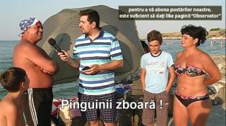 Întrebări simple, răspunsuri complicate, cu Cristi Popovici! Cum se spune corect: 'pinguinii zboară' sau 'penguinii zboară?'