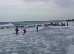 LANŢ UMAN pe plaja din EFORIE pentru salvare a două surori care s-au aventurat în larg - VIDEO INCREDIBIL