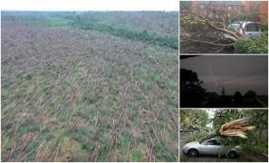 Păduri întregi rase de pe faţa pământului! Zeci de mii de arbori au fost rupţi de o furtună FĂRĂ PRECEDENT. "Este cela mai grav DEZASTRU din istorie!" (VIDEO)
