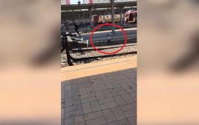 IMAGINI ŞOCANTE în Gara de Nord! La o zi după ce trei fetiţe au fost SPULBERATE DE TREN, copiii se joacă printre şine, sub privirile nepăsătoare ale călătorilor (VIDEO)