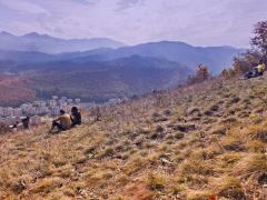 Descoperire MACABRĂ făcută de un grup de turişti, pe Muntele Tâmpa! Oamenii au anunţat DE URGENŢĂ autorităţile!