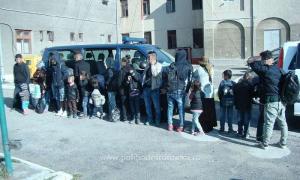 Peste 20 de irakieni încercând să iasă ilegal din România, au fost PRINŞI de poliţie în lanurile din apropiere de Nădlac