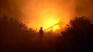 Incendii violente au devastat suprafeţe mari de teren în Croaţia. Avertismentul MAE pentru români