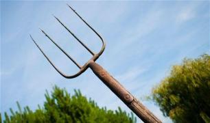 Un bărbat riscă ŞAPTE ANI de închisoare după ce a omorât câinele vecinului cu o FURCĂ