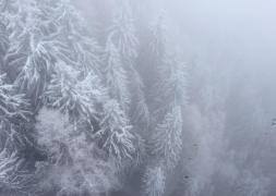 NINGE în România, în plină vară! Turiştilor nu le-a venit să creadă; au filmat şi postat imagini pe reţelele de socializare (VIDEO)