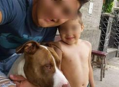 Răsturnare de situaţie în cazul copilului ucis de un pitbull! Proprietarul vrea să îşi recupereze câinele!