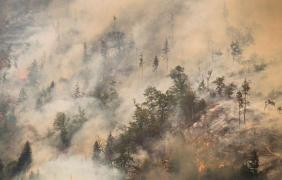 INCENDIU DEVASTATOR. A fost mobilizată armata, flăcările fac scrum tot centrul ţării, de 5 zile