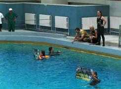 ALERTĂ LA DELFINARIU. Cei doi DELFINI au suferit schimbări de comportament după incidentul din weekend