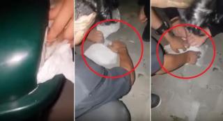 Imagini terifiante la Vaslui. Un tânăr a auzit zgomote ciudate dintr-un coș de gunoi. A înlemnit când a văzut ce era într-o pungă (VIDEO)