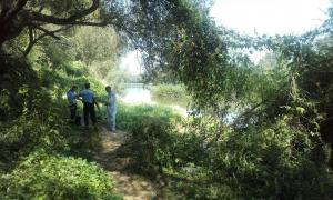 Cadavrul descoperit în râul Mureș, în urmă cu mai bine de o săptămână, încă neidentificat. Ancheta este în plină desfăşurare