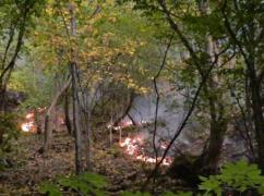 Focul mistuie Parcul Naţional Domogled! A izbucnit un nou incendiu la rezervaţia din Mehedinţi