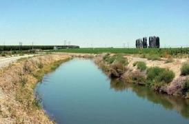 Descoperire macabră la Brăila! Trupul unui bărbat a fost văzut plutind într-un canal de irigaţii