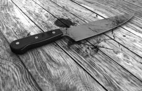 Caz HALUCINANT! Un bărbat de 35 de ani și-a ucis mama cu mai multe lovituri de cuțit, după care i-ar fi mâncat inima (FOTO)