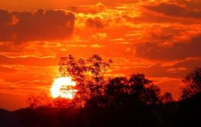 COD ROŞU PRELUNGIT de caniculă în mai multe zone din ţară