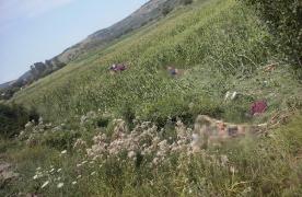 ACCIDENT MORTAL în Bacău! Un şofer începător a pierdut controlul maşinii, a SPULBERAT doi adolescenţi de 16 și 17 ani şi a ajuns în lanul de porumb! IMAGINI DRAMATICE