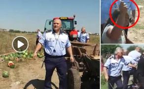 IMAGINI ŞOCANTE în Capitală: Poliţişti din sectorul 5, atacaţi cu CUŢITE şi PIETRE de o şatră de romi! (VIDEO)