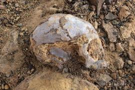 Descoperire ULUITOARE a oamenilor de ştiinţă! Detalii care ar putea face lumină în trecutul foarte îndepărtat al omenirii!