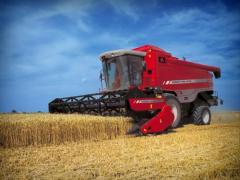 Scene SÂNGEROASE la Tulcea! O femeie a fost SFÂRTECATĂ de o combină agricolă!