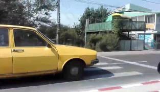 TEROAREA GALBENĂ a apărut pe drumul european 584 Braila-Slobozia. Şoferul unei Dacii 1310 a luat-o pe unde a vrut el (VIDEO)