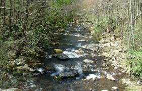 Caz ȘOCANT în Maramureș! Un bebeluș a fost ARUNCAT în apele unui pârâu la câteva ore de la naștere. Copilul a fost găsit de o asistentă medicală, care era în concediu