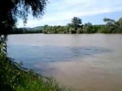 Poluare pe Mureş! Apele râului au fost afectate de incendiul de la fabrica de uleiuri esenţiale din Orăştie