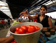 Promisiunea făcută de şeful Agriculturii: 'De Crăciun vom mânca roşii româneşti'