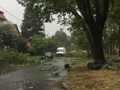 ALERTĂ METEO! ANM anunță COD PORTOCALIU de fenomene periculoase. VIJELIA a smuls copaci, acoperișuri și panouri publicitare la Timișoara (FOTO)