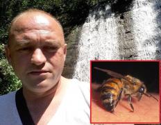 Bărbat ucis de o albină, în Bihor. Înţepat în ceafă, a intrat în şoc anafilactic şi a murit aproape instant. Medicii au încercat să-l resusciteze