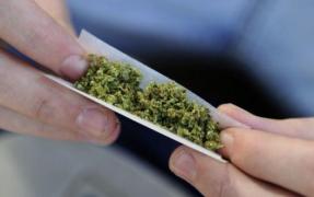 Un grup de rromi din Timişoara vindeau ETNOBOTANICE copiilor! Mai mulţi tineri au ajuns la spital!