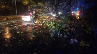 Vijelia a provocat distrugeri importante în Bucureşti. Maşini avariate, copaci căzuţi pe străzi, alimentarea cu energie electrică întreruptă în mai multe cartiere. Pericolul NU A TRECUT! (VIDEO)