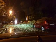Bilanţul vijeliei care a lovit România e ŞOCANT. Zece judeţe au fost DEVASTATE de furtuni până la ora 21. În Bucureşti, un bărbat a murit strivit de un copac (VIDEO)