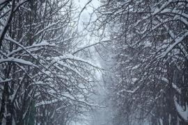 PRIMA NINSOARE în România din această toamnă! Ninge de câteva ore, iar stratul de ZĂPADĂ are deja câţiva centimentri