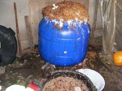 Un bărbat din Tulcea s-a dus să tragă must din beci şi nu s-a mai întors. Familia l-a găsit mort, printre damigene