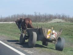 Accident TERIBIL în Bistriţa. O fetiţă de numai 7 anişori e în stare gravă, după ce a fost zdrobită de căruţa în care încerca să se urce